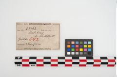 Etikett zu Bronzebrillenfibel (NHMW-PRAE-025362)